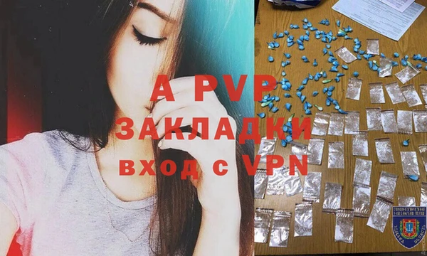 стафф Аркадак