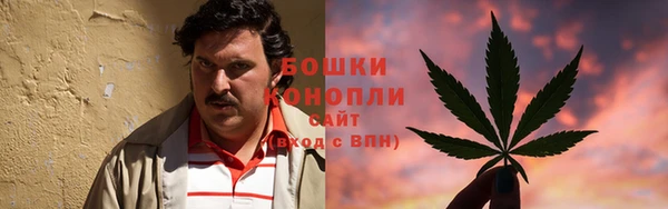 ГАЛЛЮЦИНОГЕННЫЕ ГРИБЫ Арсеньев