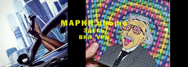 стафф Аркадак