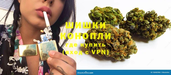 ГАЛЛЮЦИНОГЕННЫЕ ГРИБЫ Арсеньев
